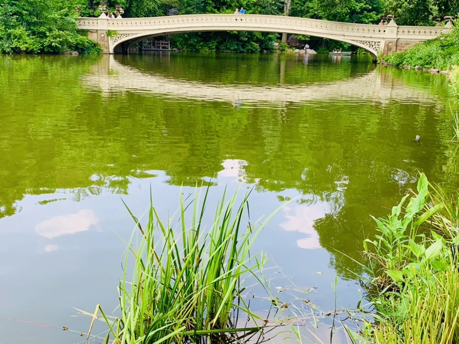 IMG_1717.jpg?type=w966