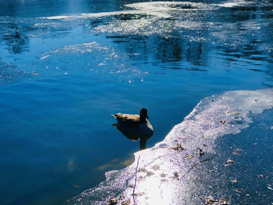 IMG_7838.jpg?type=w966