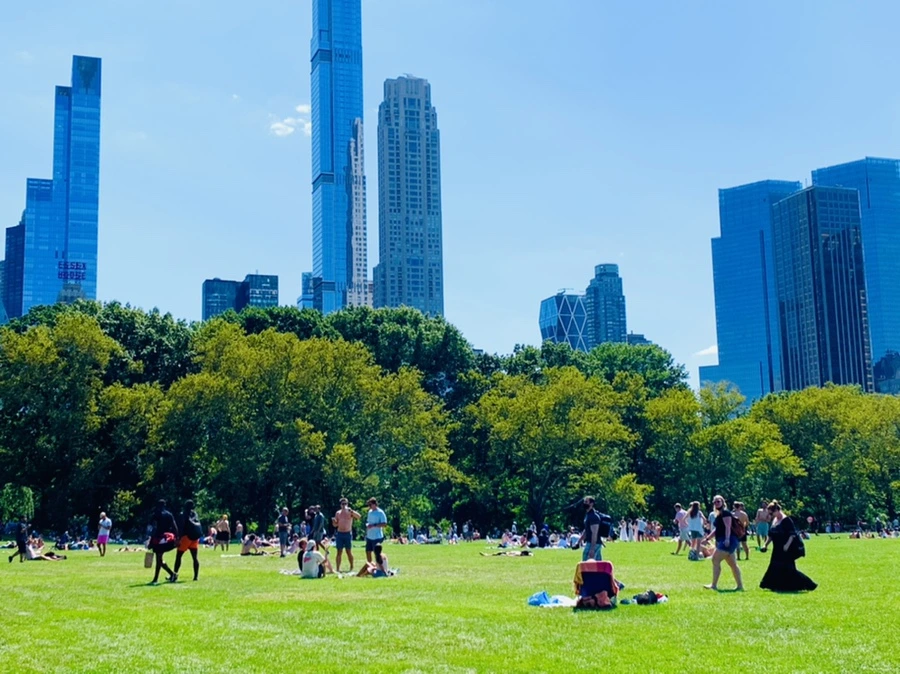 IMG_4376.jpg?type=w966