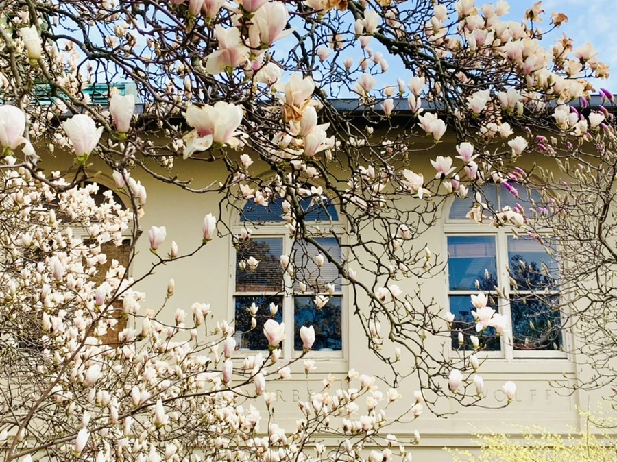 IMG_7204.jpg?type=w966