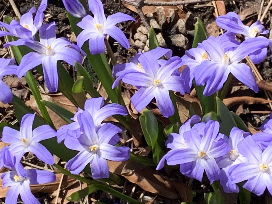 IMG_5783.jpg?type=w966