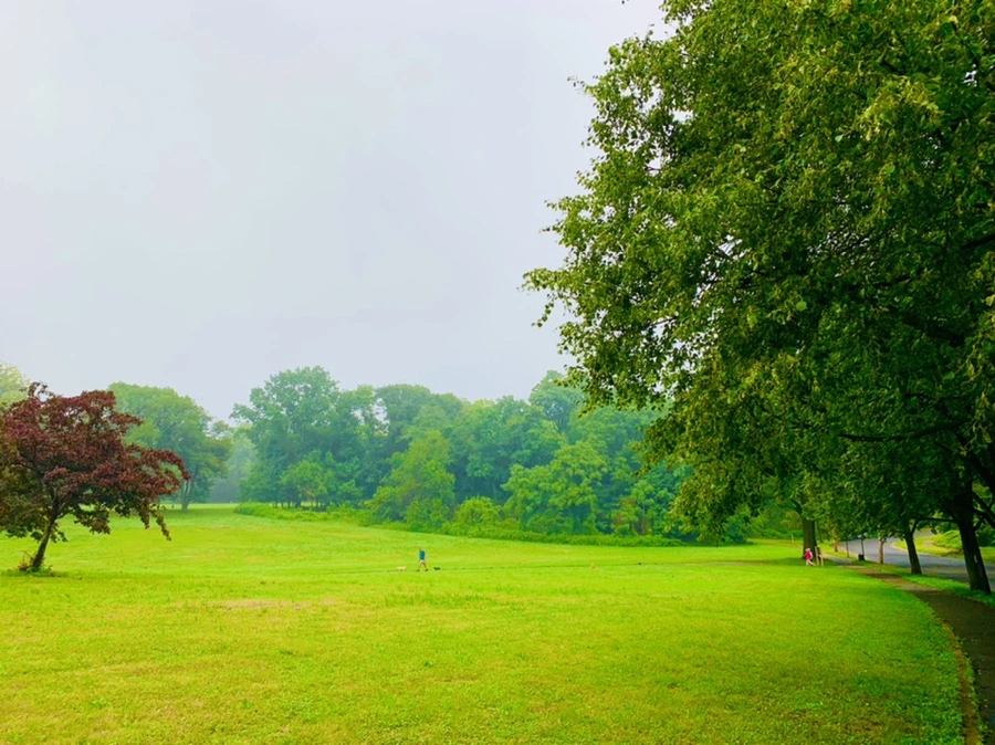 IMG_4588.jpg?type=w966