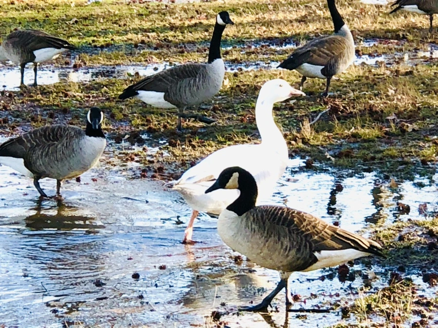 IMG_9300.jpg?type=w966