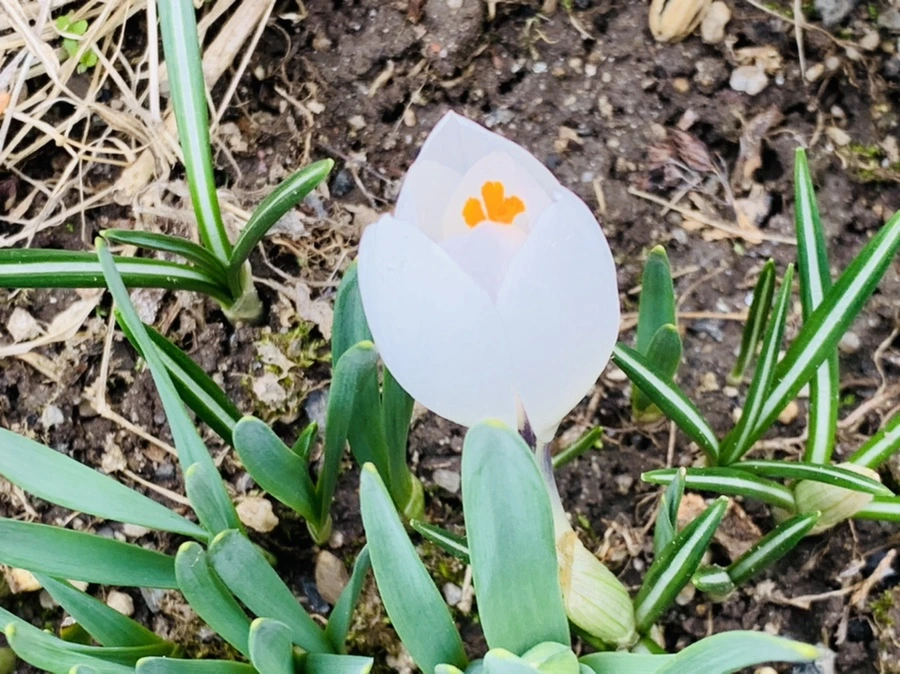 IMG_3498.jpg?type=w966