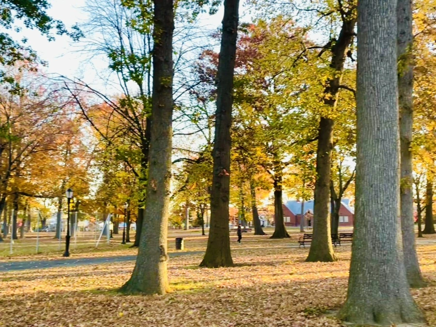 IMG_4084.jpg?type=w966