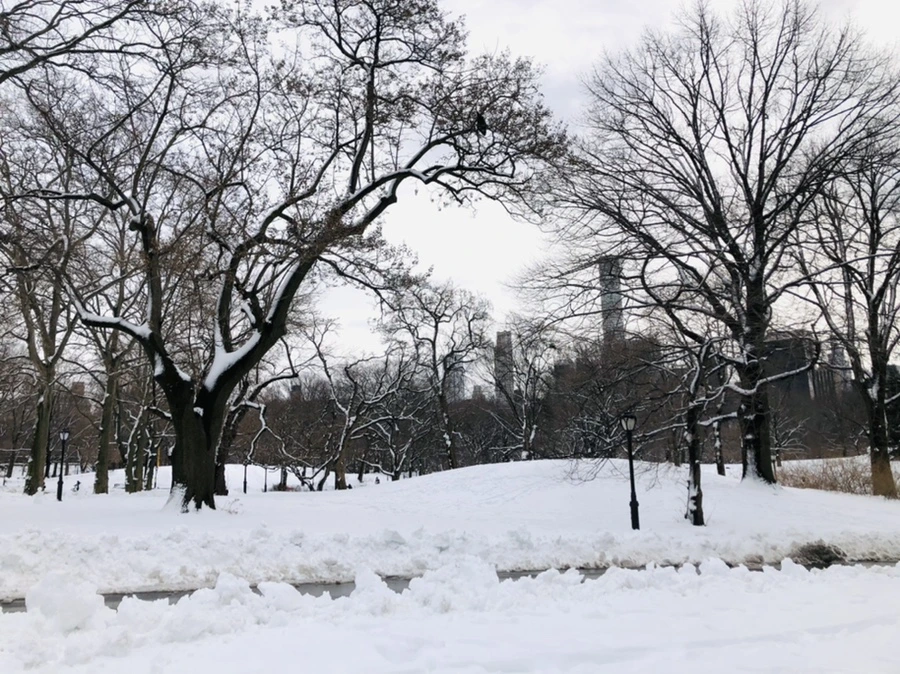 IMG_9519.jpg?type=w966