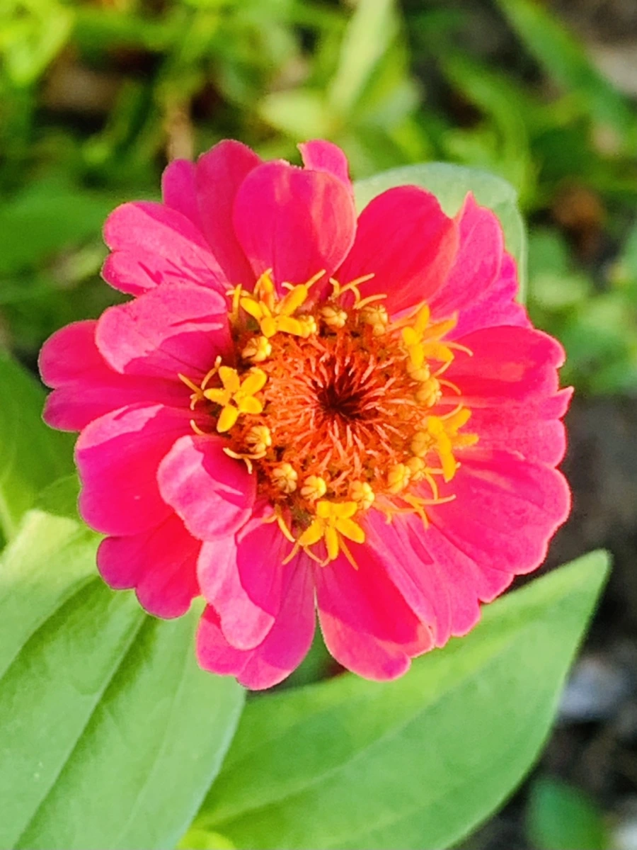 IMG_8281.jpg?type=w966