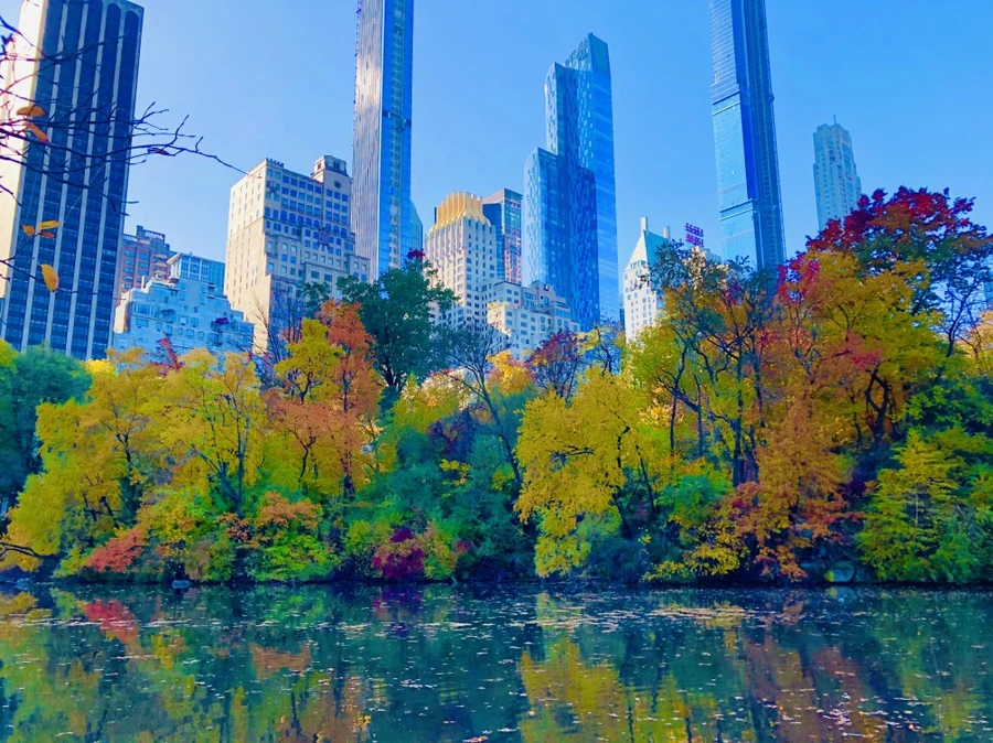 IMG_3782.jpg?type=w966