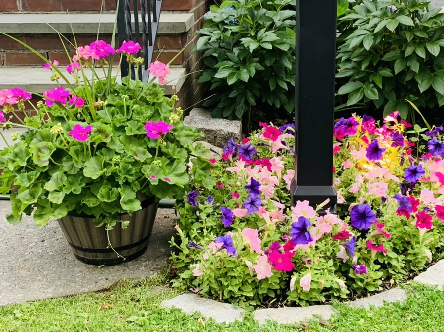 IMG_2499.jpg?type=w966