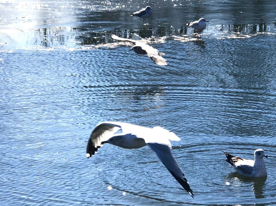 IMG_6833.jpg?type=w966