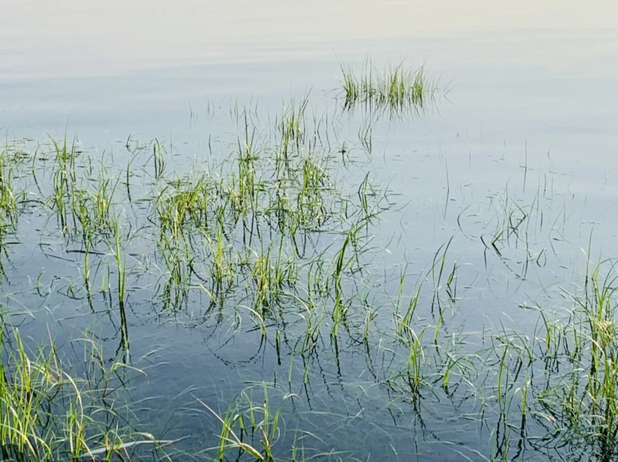 IMG_6456.jpg?type=w966