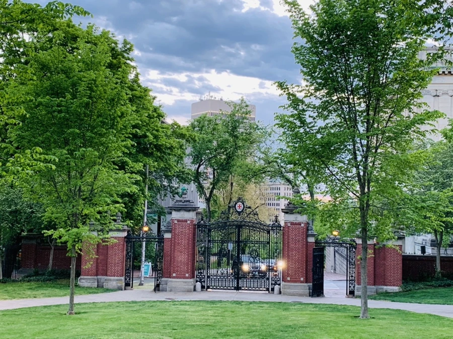 IMG_2567.jpg?type=w966