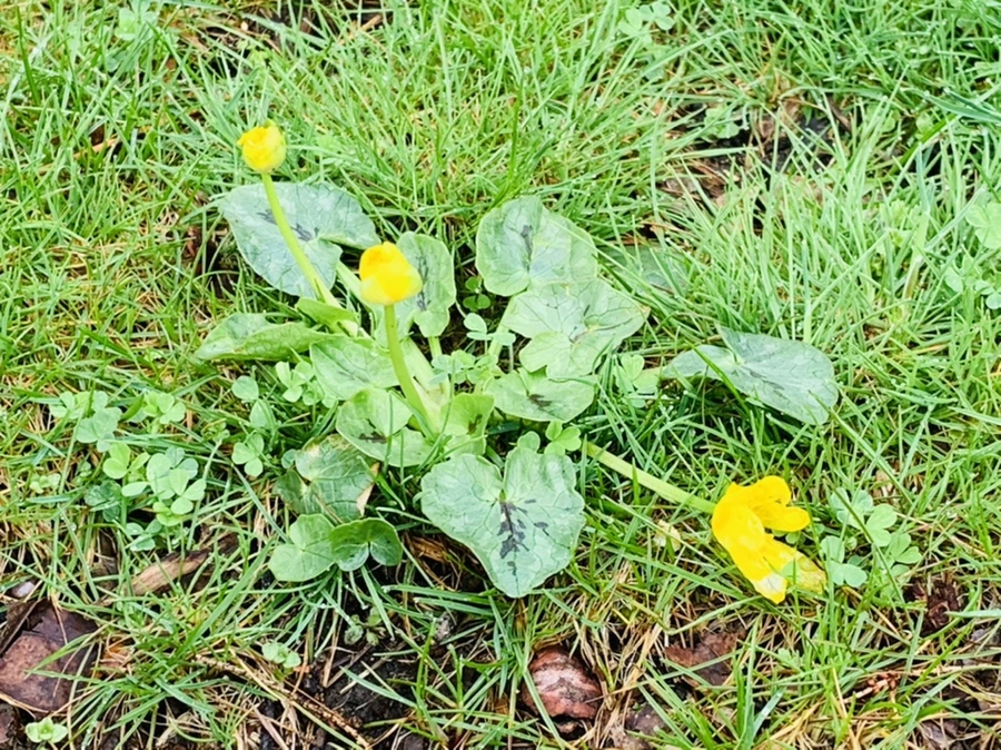 IMG_5328.jpg?type=w966