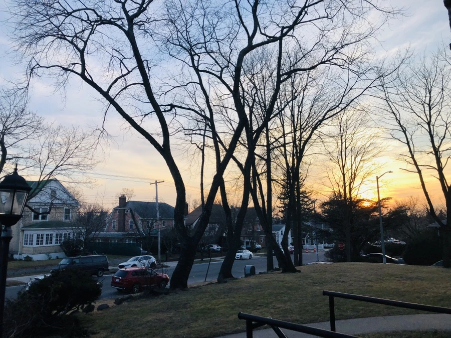 IMG_9239.jpg?type=w966