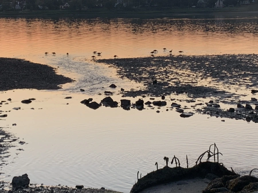 IMG_0064.jpg?type=w966