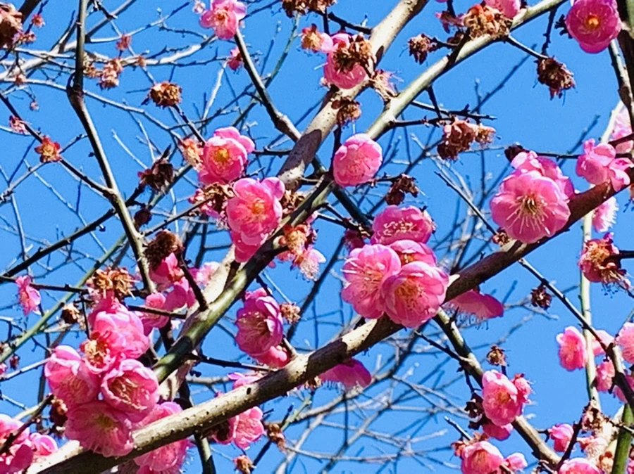 IMG_7820.jpg?type=w966