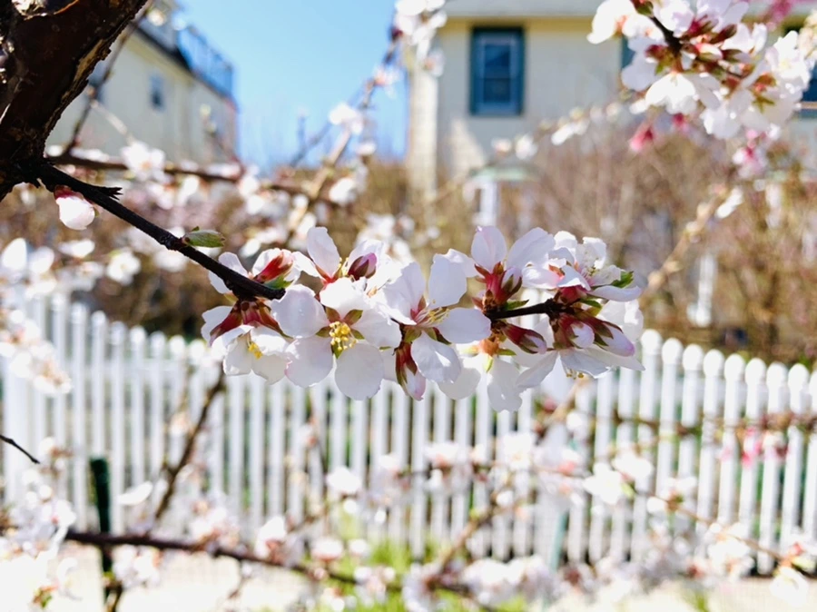 IMG_7639.jpg?type=w966