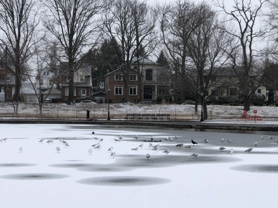 IMG_6166.jpg?type=w966