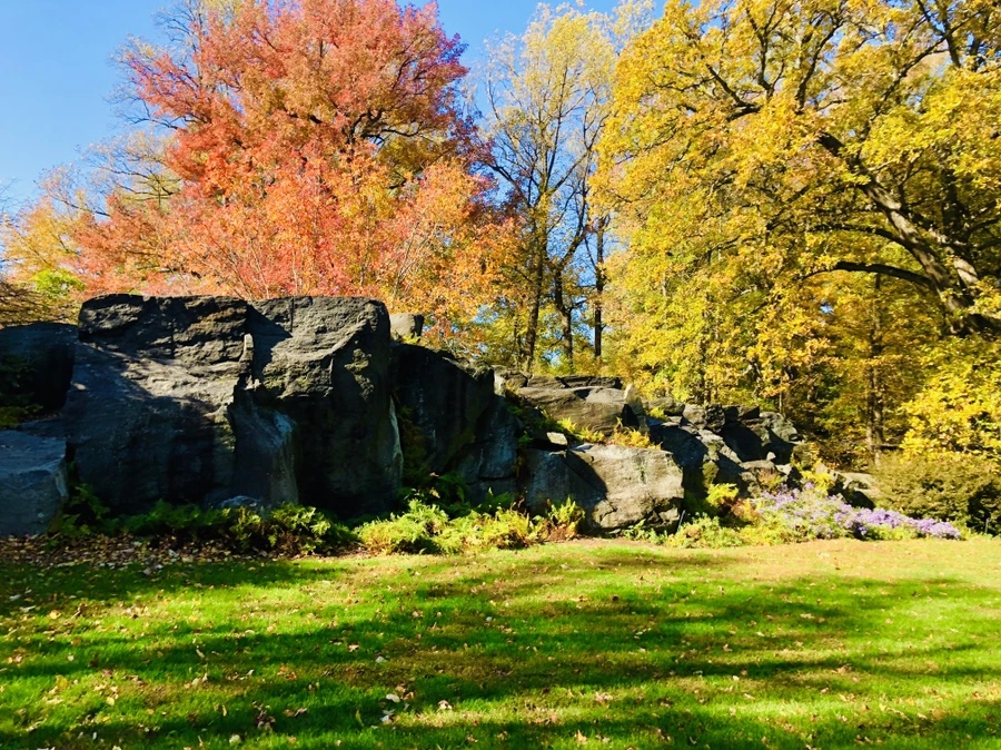 IMG_3323.jpg?type=w966