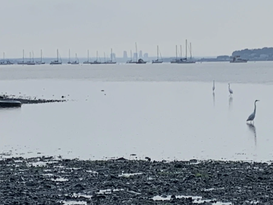 IMG_8108.jpg?type=w966