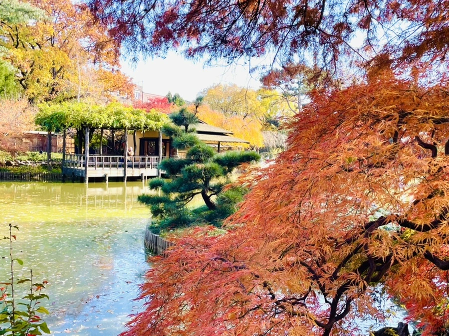 IMG_3097.jpg?type=w966