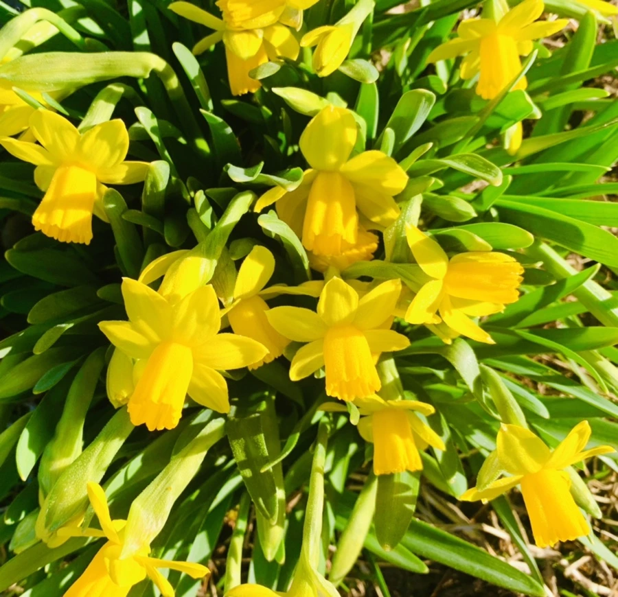 IMG_2572.jpg?type=w966