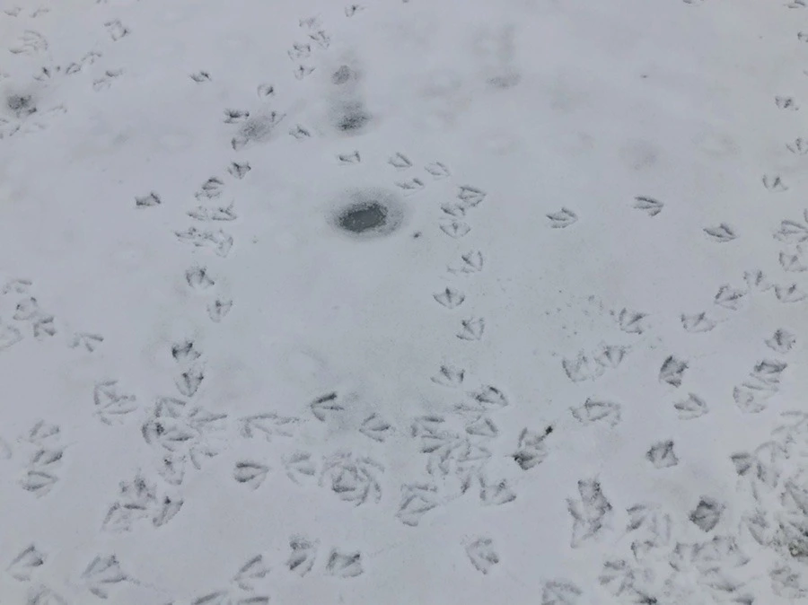 yK0Gwn-Q8w7D8tcaibYCfhp6bj8