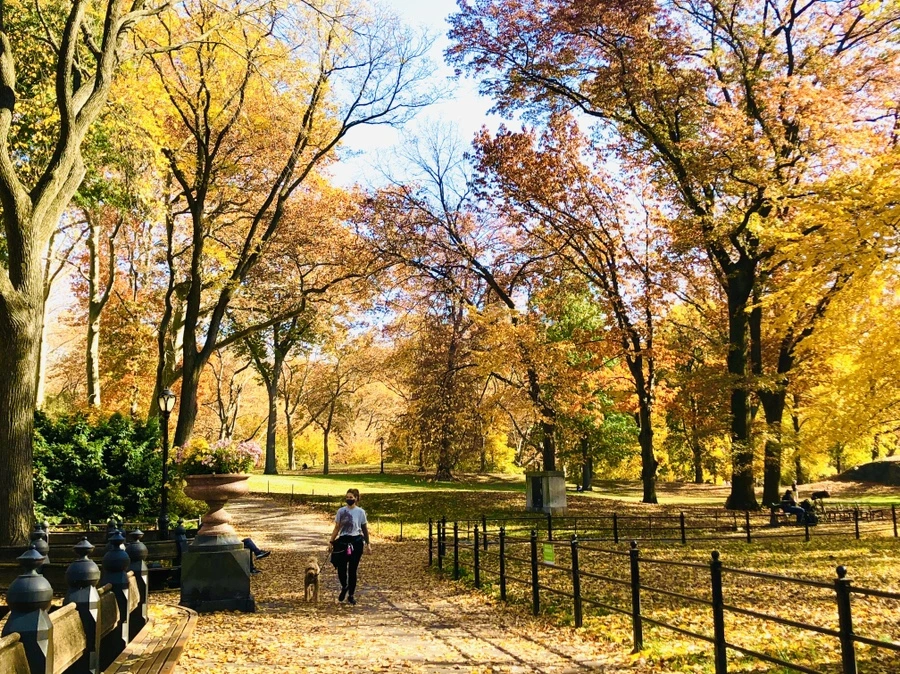 IMG_4283.jpg?type=w966