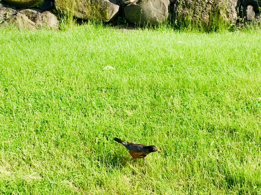 IMG_1122.jpg?type=w966