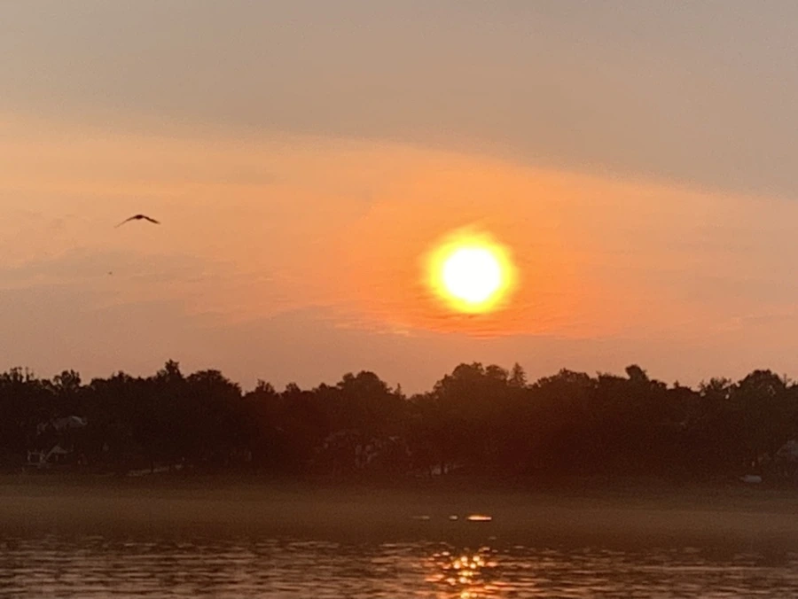 IMG_1424.jpg?type=w966