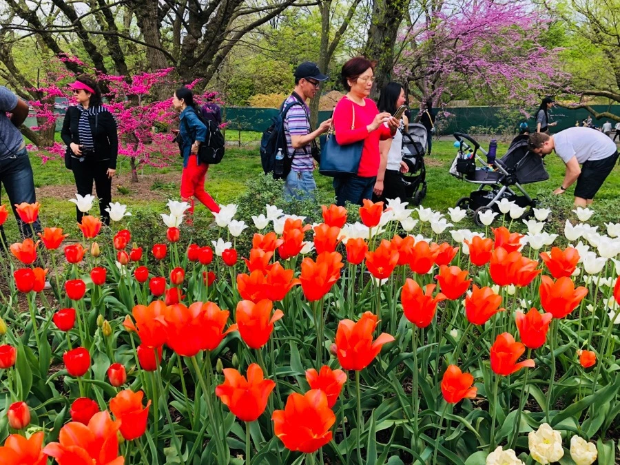 IMG_5516.jpg?type=w966