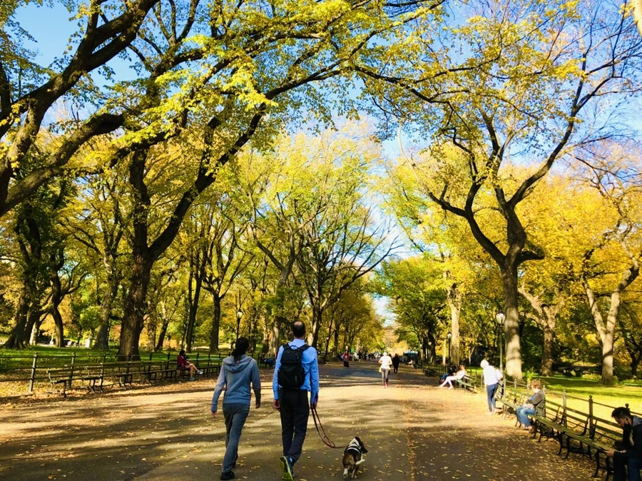 IMG_3476.jpg?type=w966