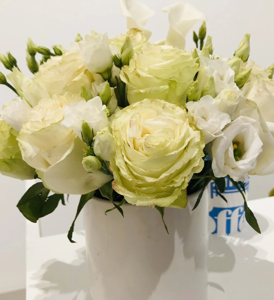 IMG_5324.jpg?type=w966