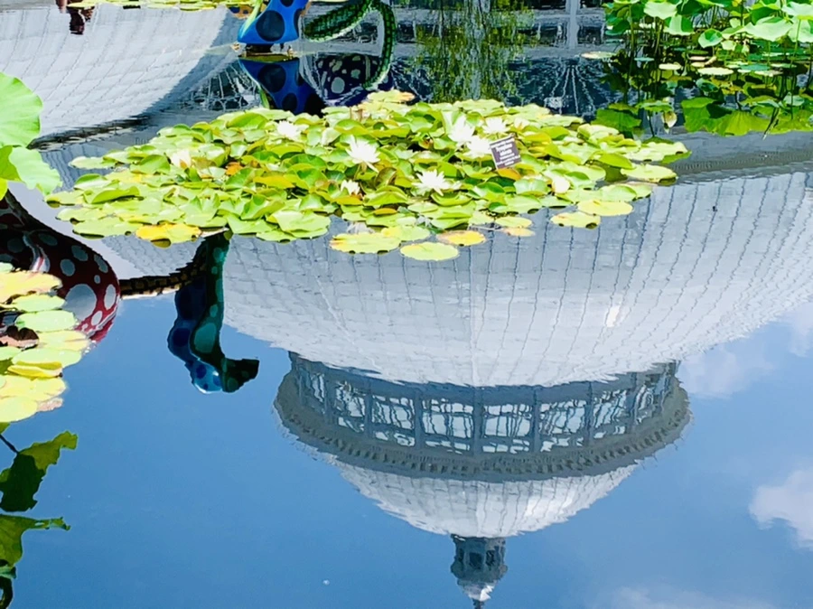 IMG_5324.jpg?type=w966