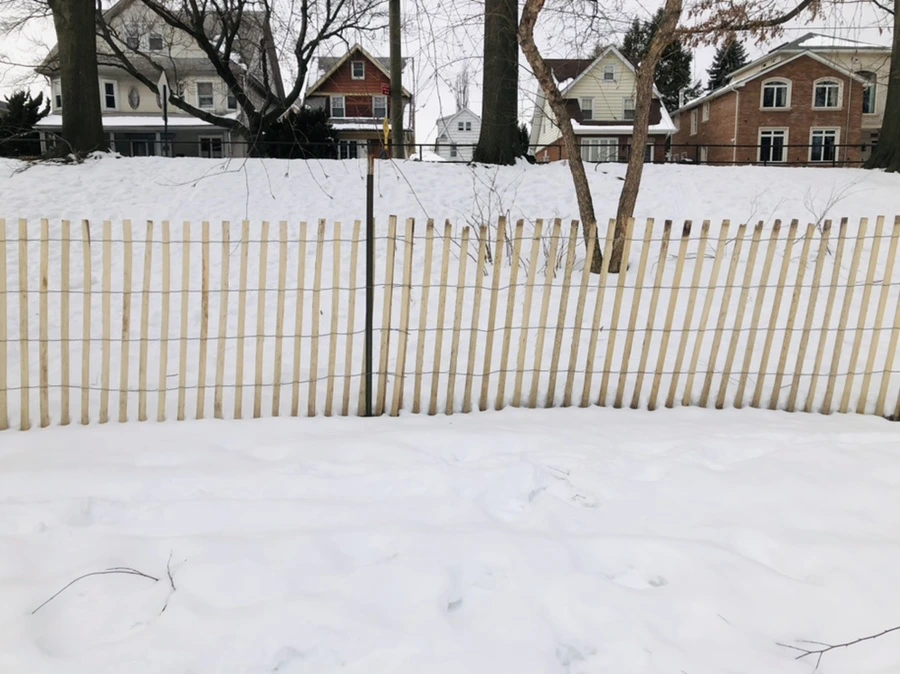 IMG_2612.jpg?type=w966