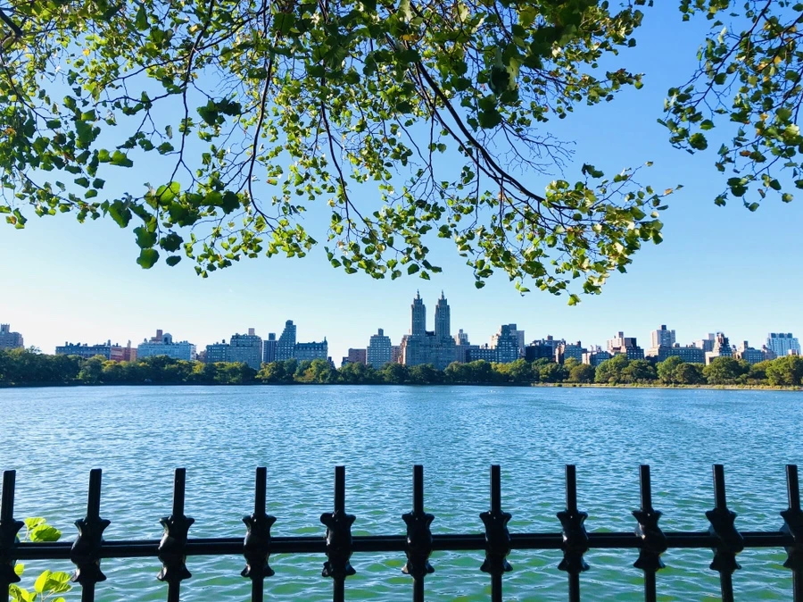 IMG_1711.jpg?type=w966