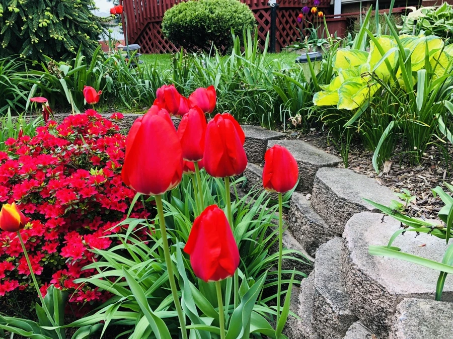 IMG_4042.jpg?type=w966