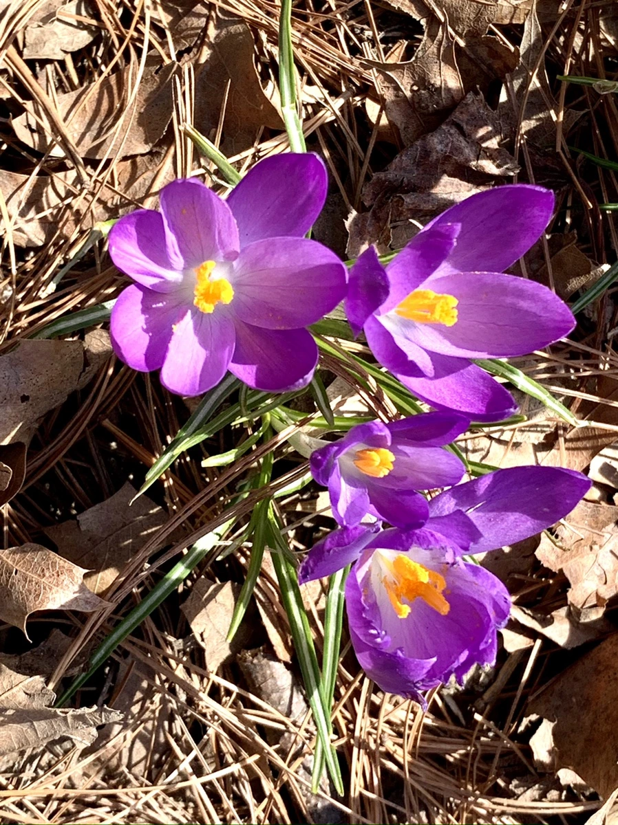 IMG_9651.jpg?type=w966