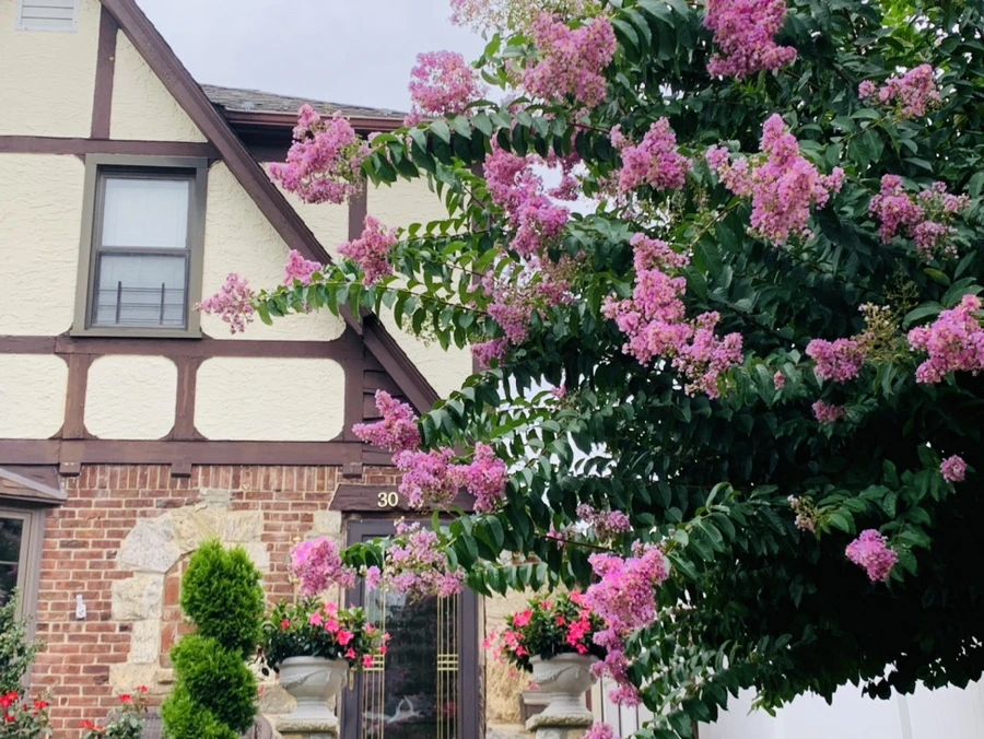 IMG_5930.jpg?type=w966