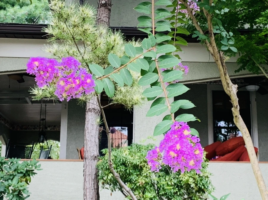 IMG_5962.jpg?type=w966