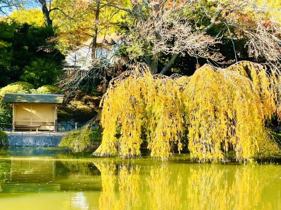 IMG_2027.jpg?type=w966