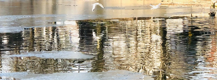 IMG_2625.jpg?type=w966