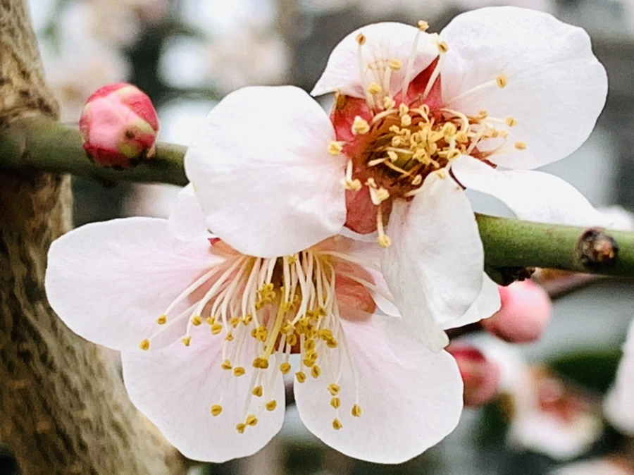 IMG_3635.jpg?type=w966