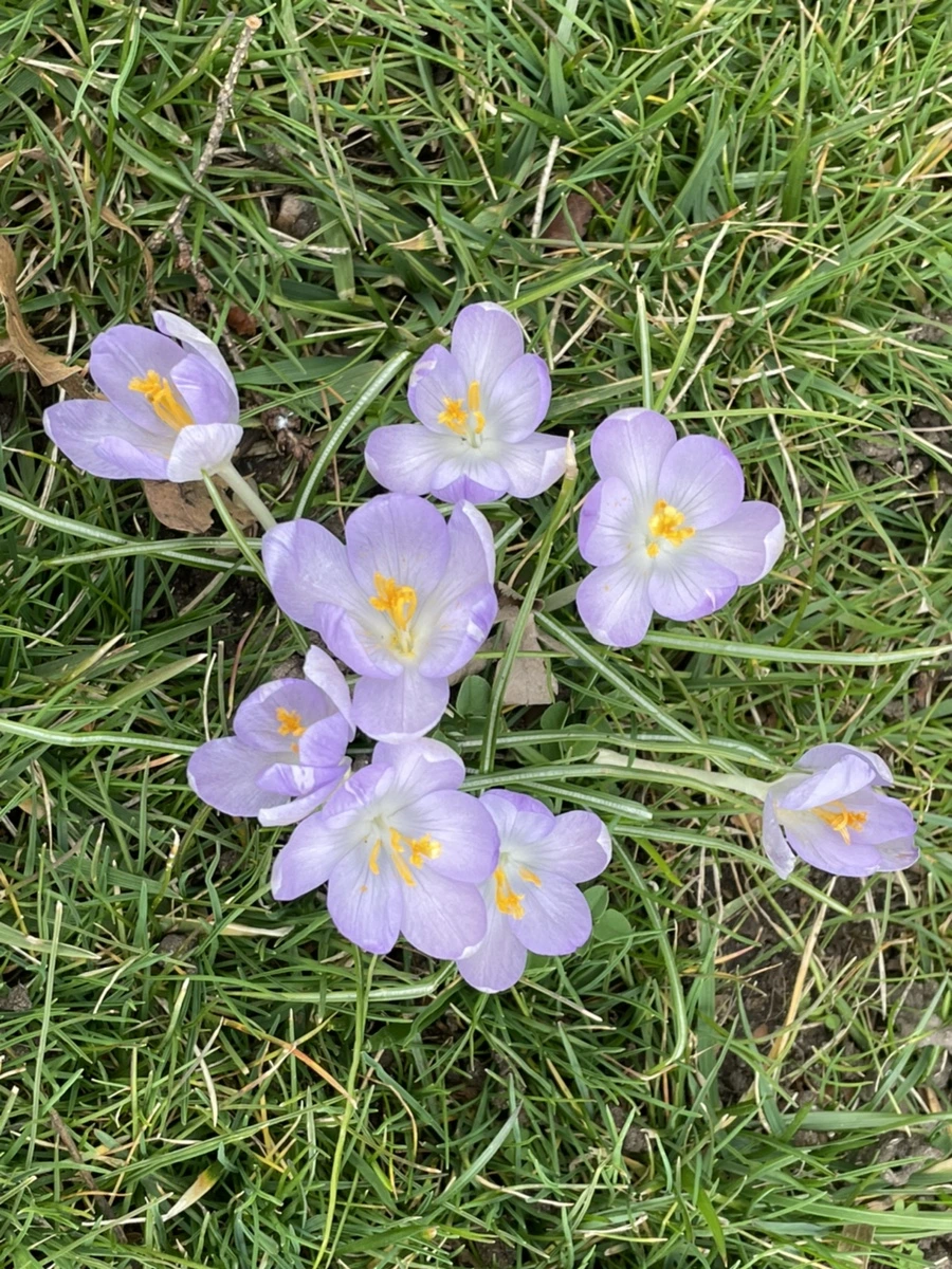 IMG_4061.jpg?type=w966