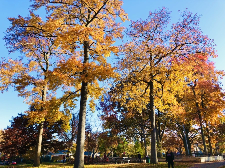 IMG_4094.jpg?type=w966