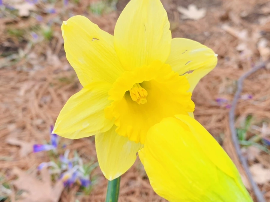 IMG_3451.jpg?type=w966