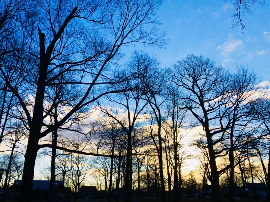 IMG_4915.jpg?type=w966