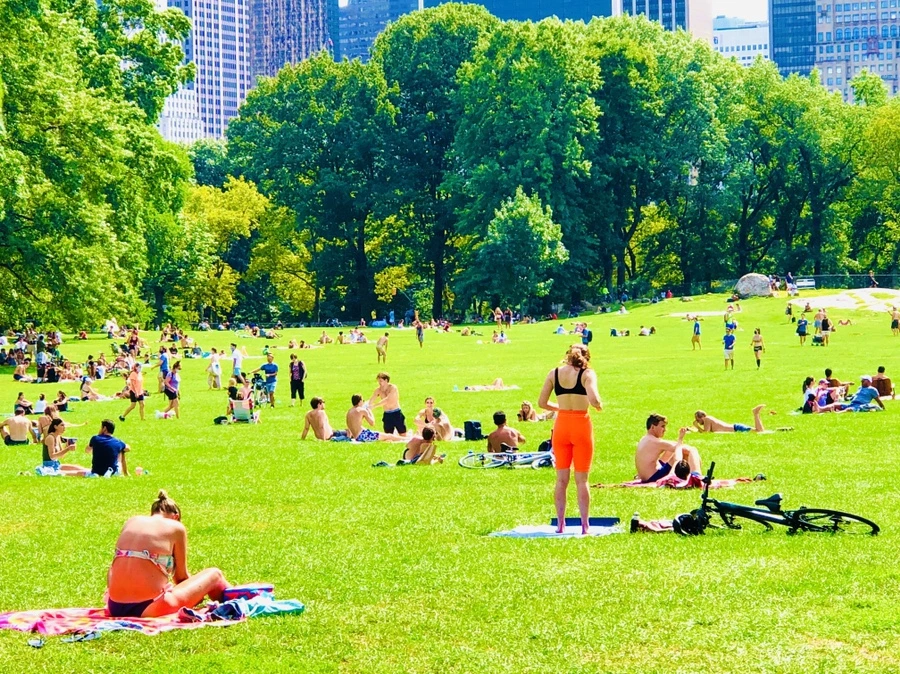 IMG_9488.jpg?type=w966