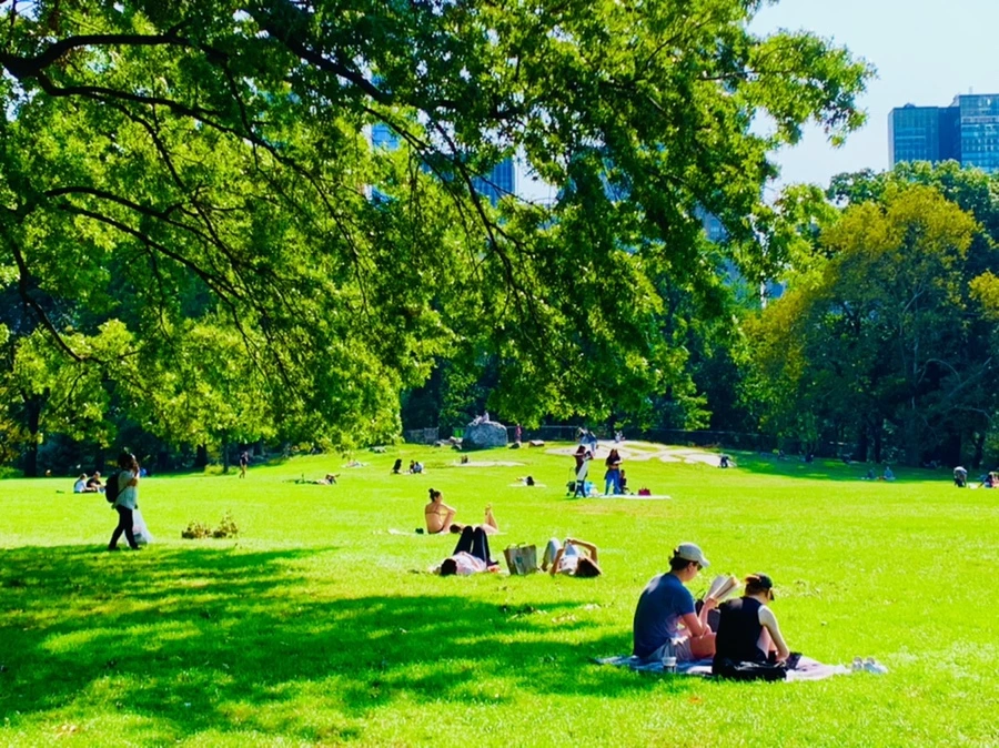 IMG_9678.jpg?type=w966