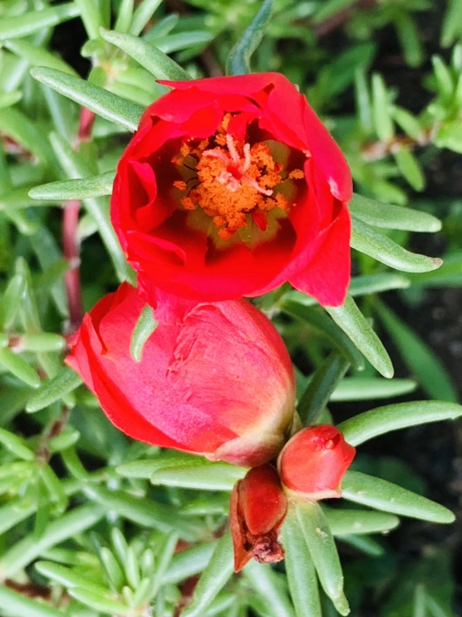 IMG_0352.jpg?type=w966